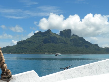A Shark Excursion in Bora Bora A Shark Excursion in Bora Bora