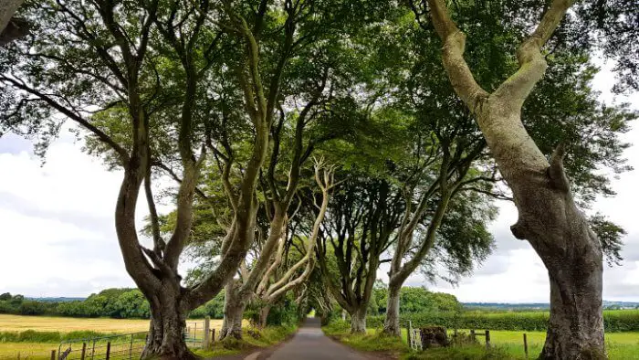 Game of Thrones King's Road