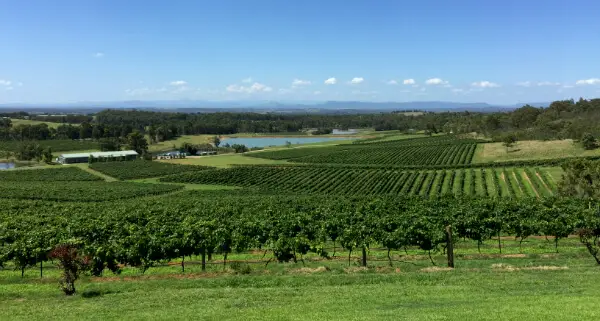 Day Trip to Hunter Valley (or How to Rent a Car Without a Driver’s License During a Seige)