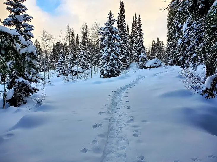 The last Christmas where will your path take you snowshoe trail at Solitude near Salt Lake City Utah (photo by Sheila Scarborough)