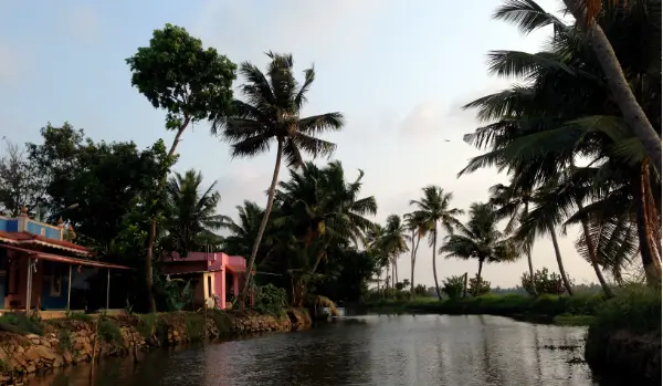 Something Between Paradise and Poverty, Somewhere Between Alleppey and Thathampally