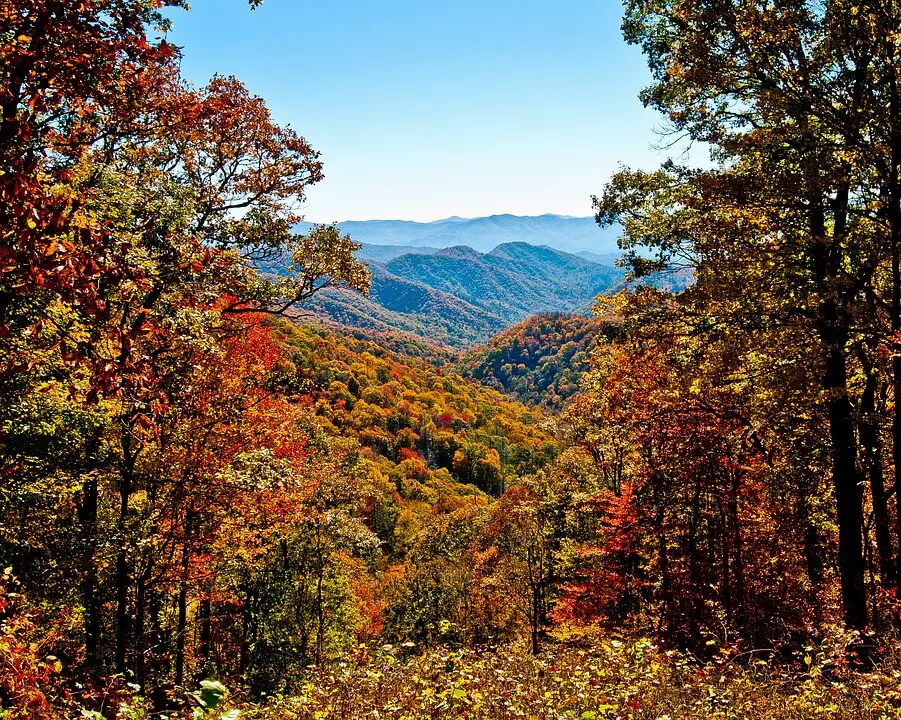 Great Smoky Mountains: Appalachia in Autumn